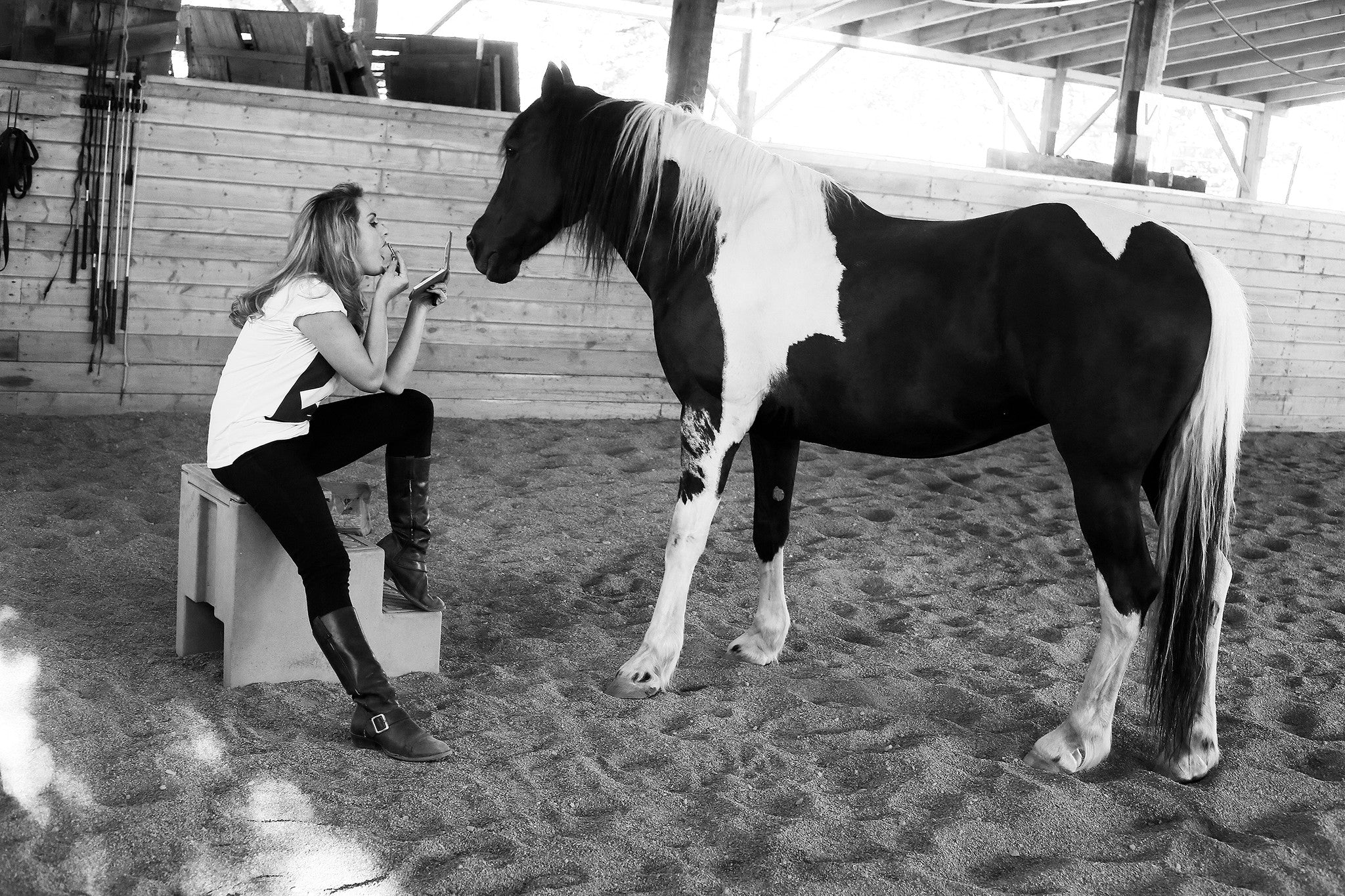 Wild Horses