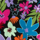 Groovy Garden Groovy Garden