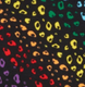 Throwback Rainbow Leopard Throwback Rainbow Leopard