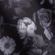 Dark Floral Remedies Dark Floral Remedies