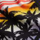Hawaiian Heat Hawaiian Heat