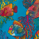 Rainbow Fish Rainbow Fish