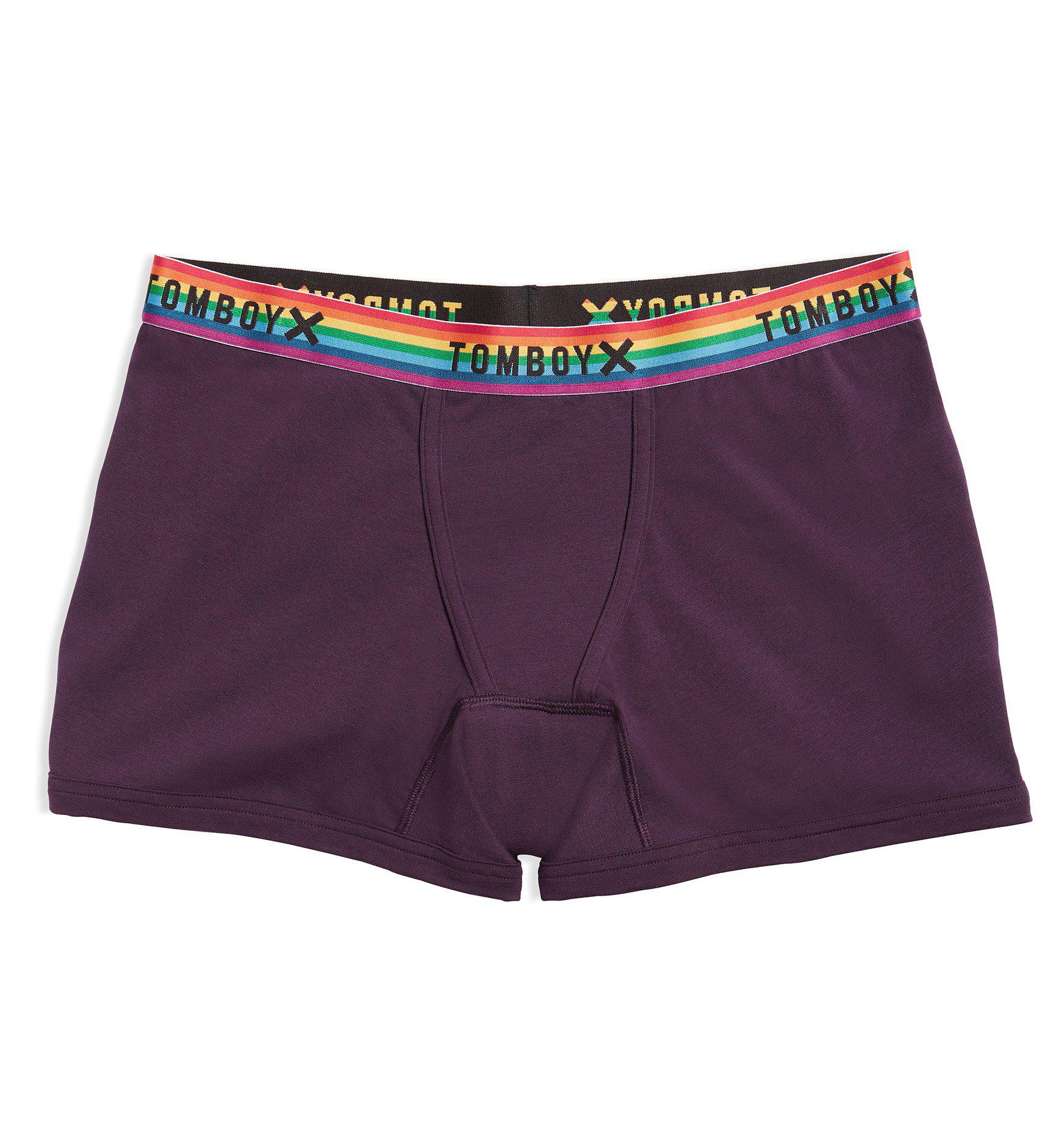 First Line Leakproof 4.5 Trunks - Plum Rainbow-Underwear-TomboyX