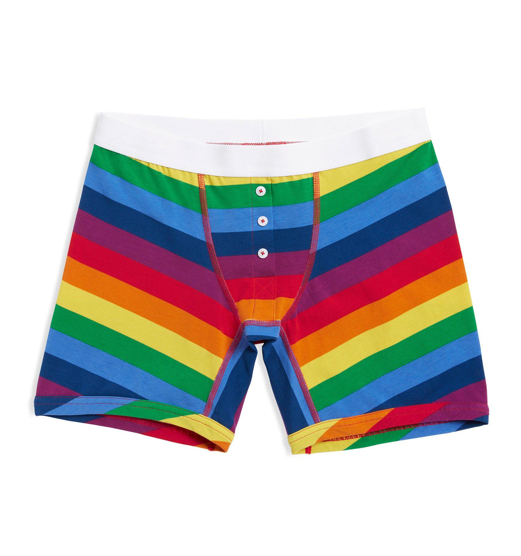 Pride Rainbow Stripe Boxer Briefs Gay Pride Underwear Pride Shorts