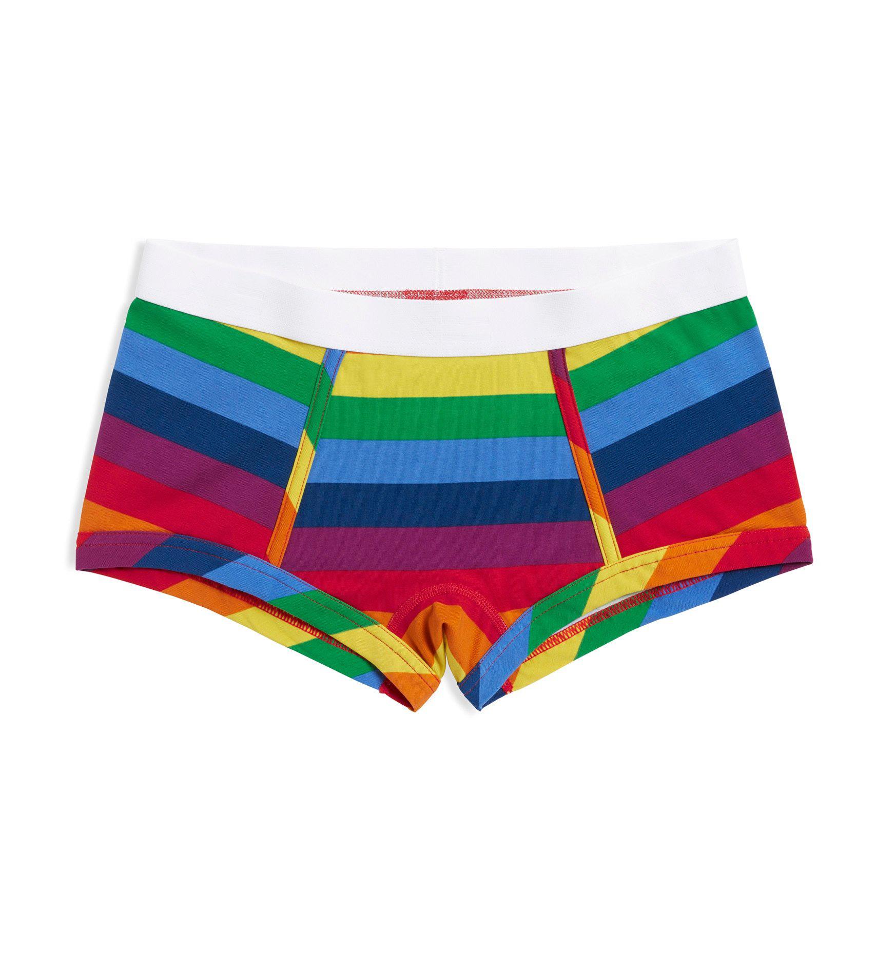 Boy Shorts Underwear Panties for Women Rainbow Cat Meow