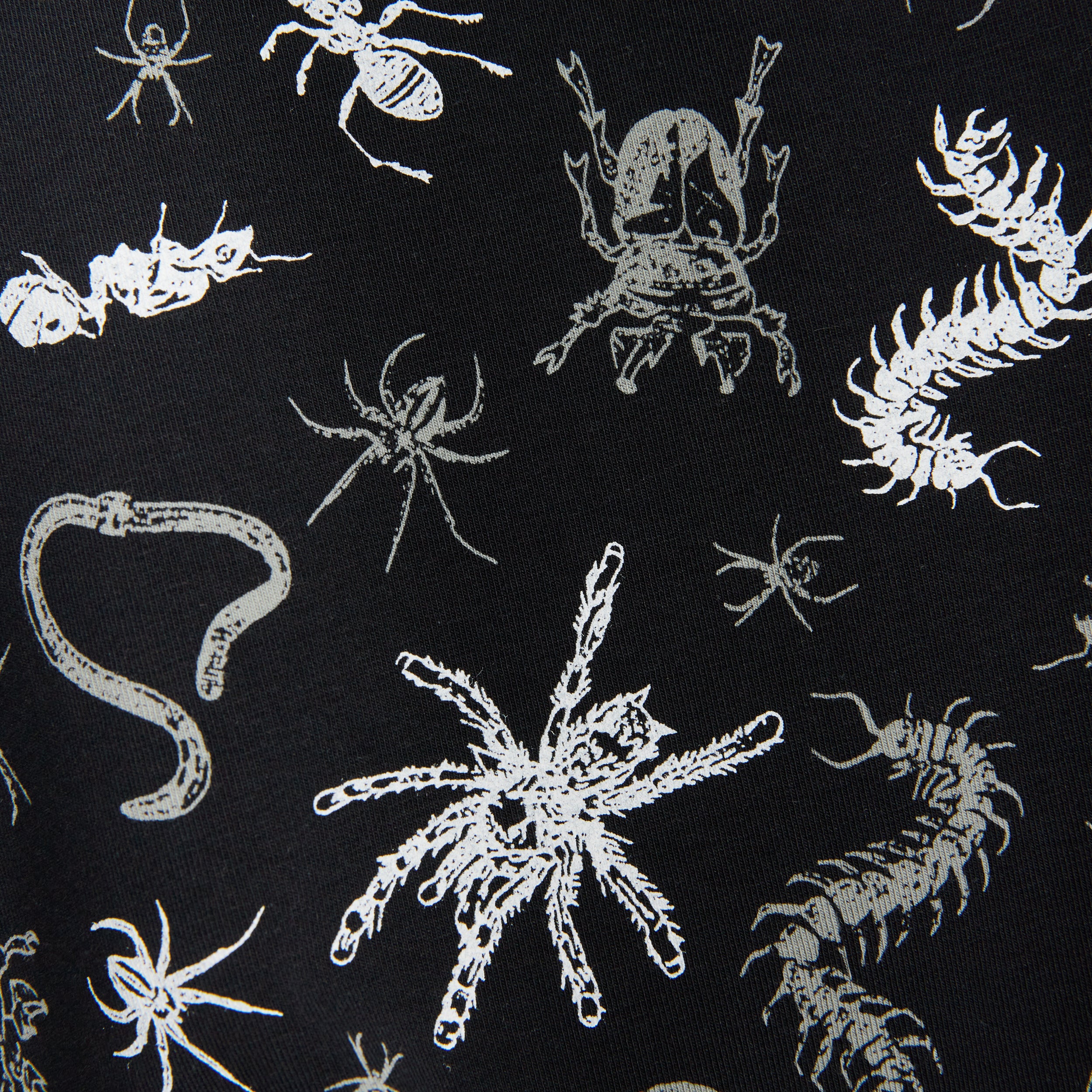 6" No Fly Boxer Briefs - Bug Out