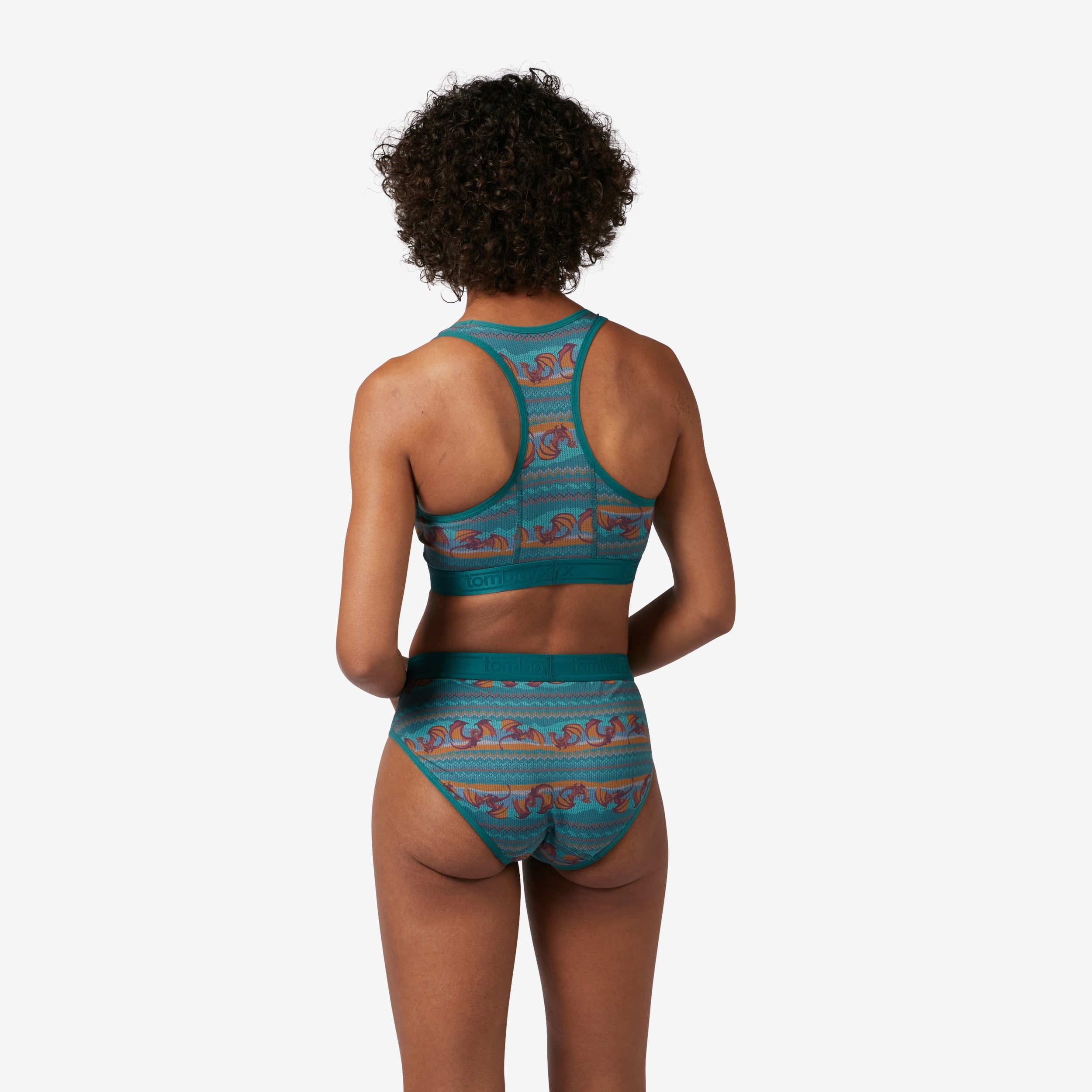 Iconic Briefs - Dragon Fairisle