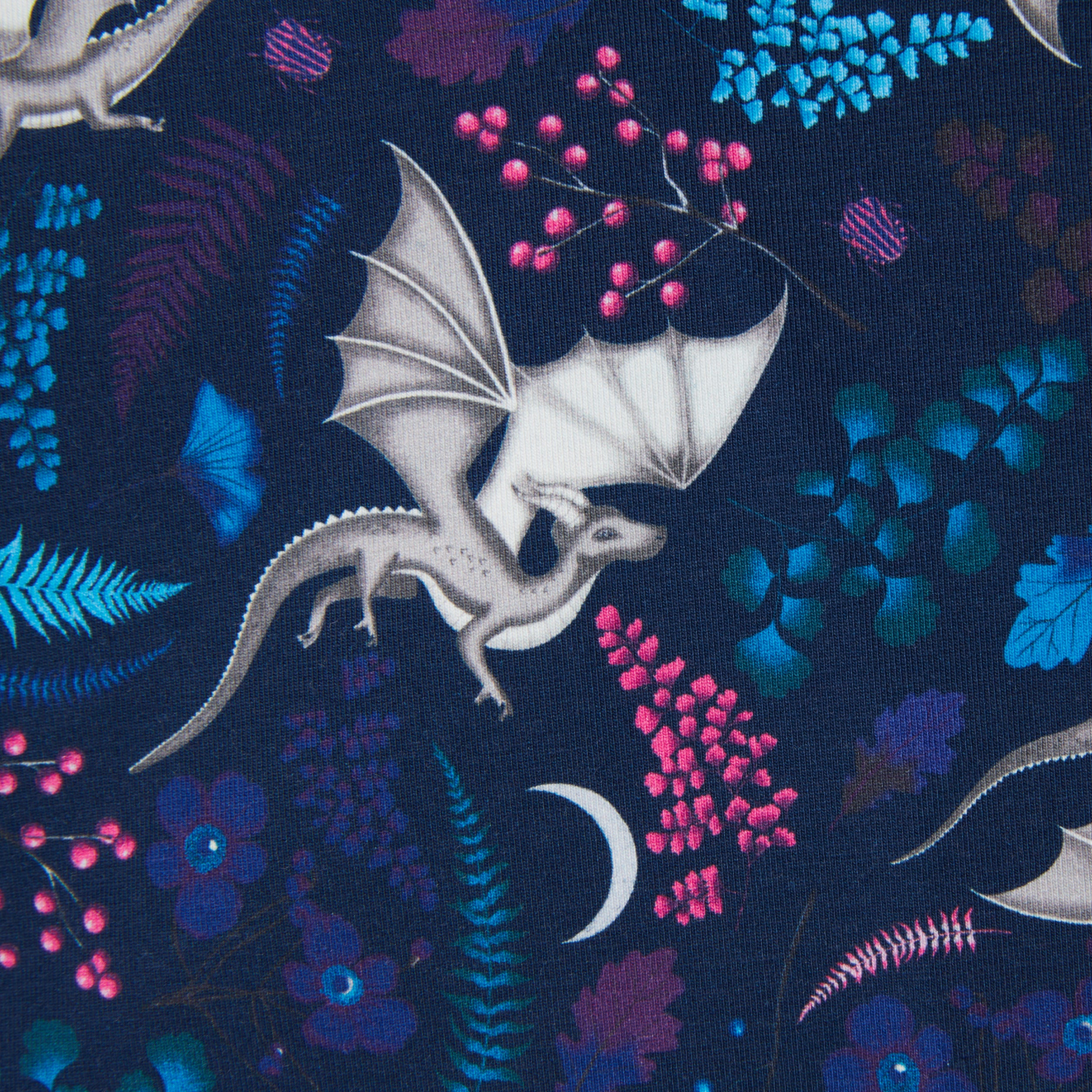 Iconic Briefs - Dragon Tapestry