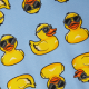 Ducks In a Row