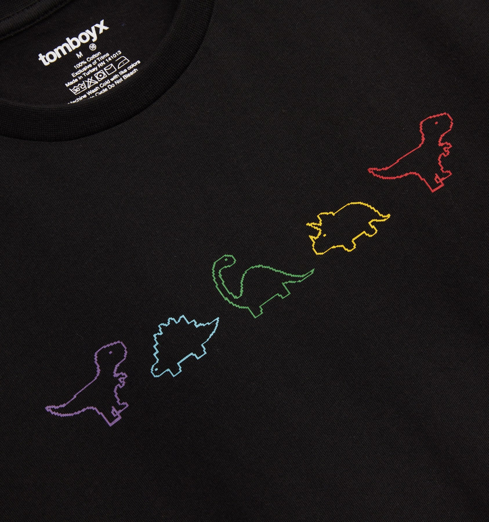 SS Anywhere Tee - Rainbow DinoByte