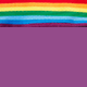 Dahlia Rainbow