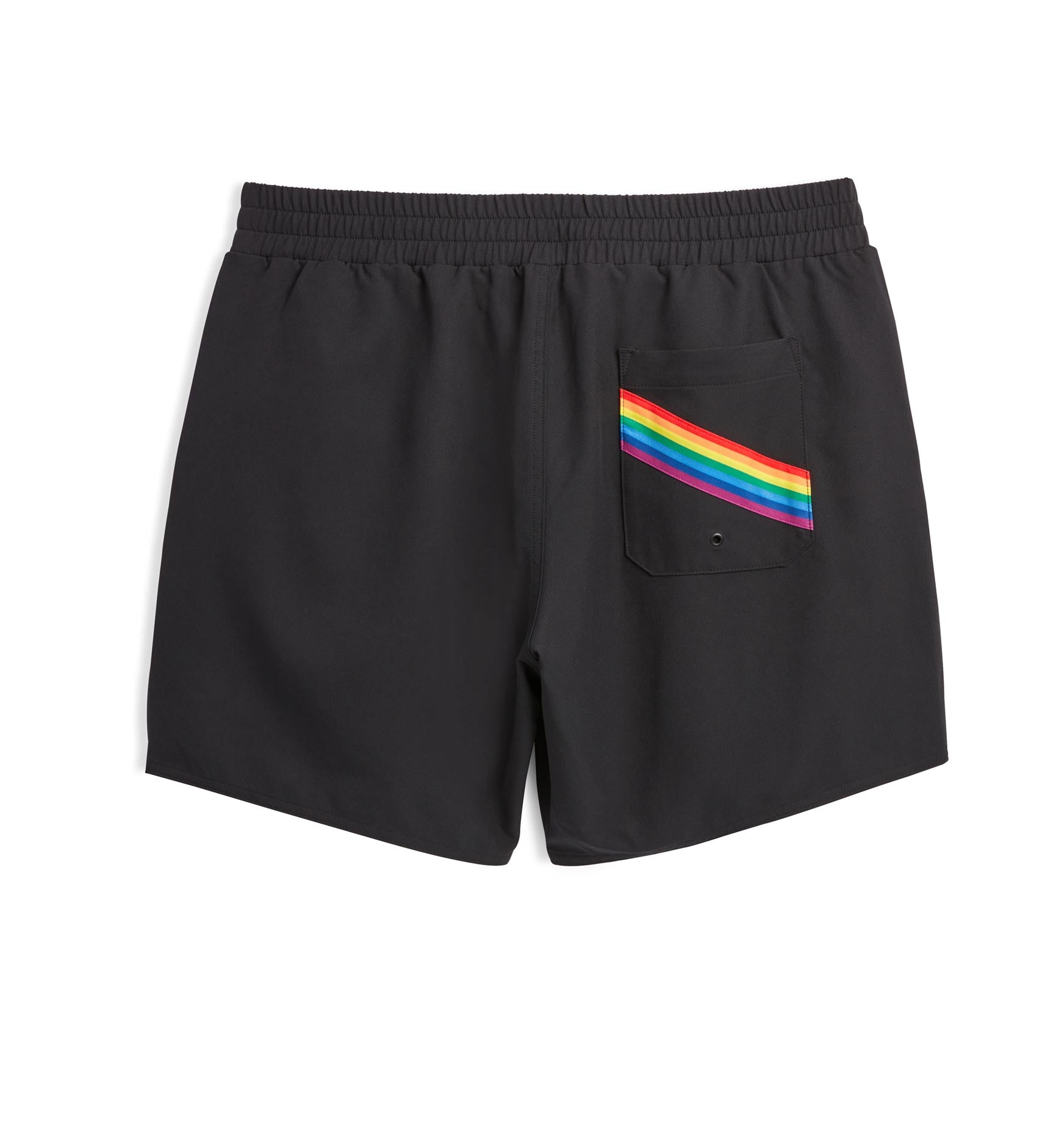 Swim 9 Shorts with Pocket - Black Rainbow – TomboyX