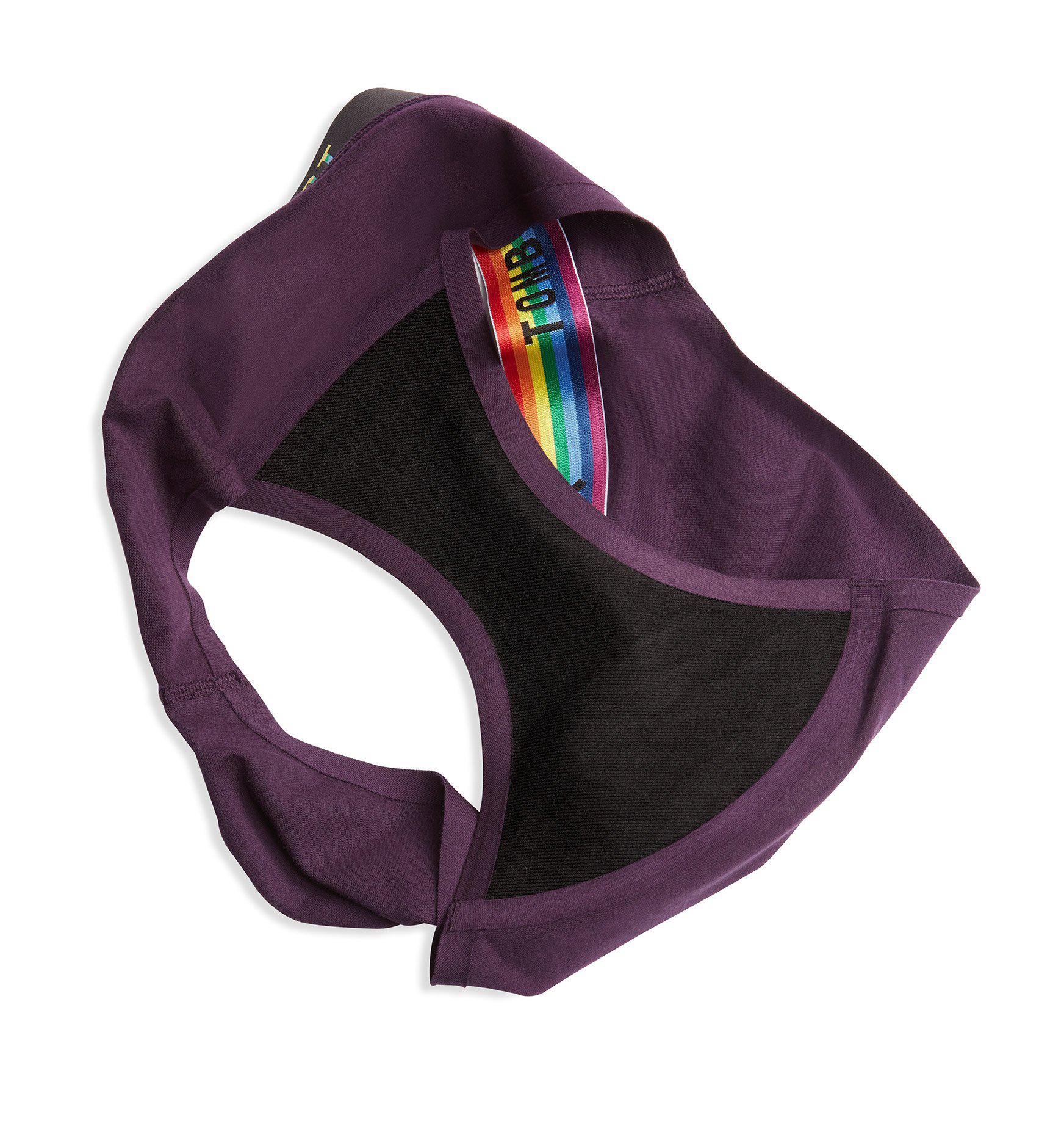 First Line Leakproof Bikini - Plum Rainbow-Underwear-TomboyX