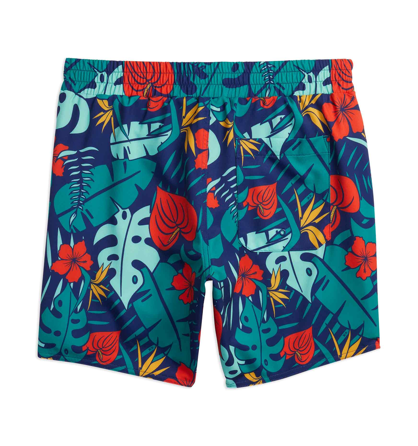 Swim 4.5 Shorts LC - Save the Turtles – TomboyX
