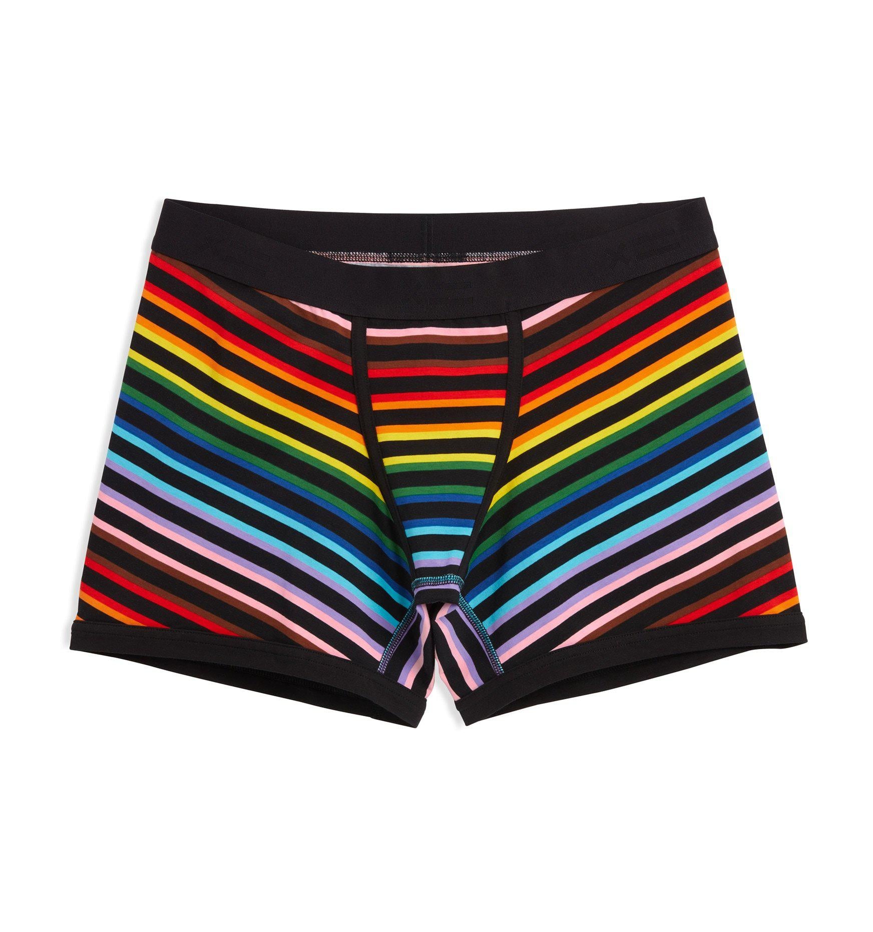 4.5" Trunks - Progress Pride Stripes-Underwear-TomboyX