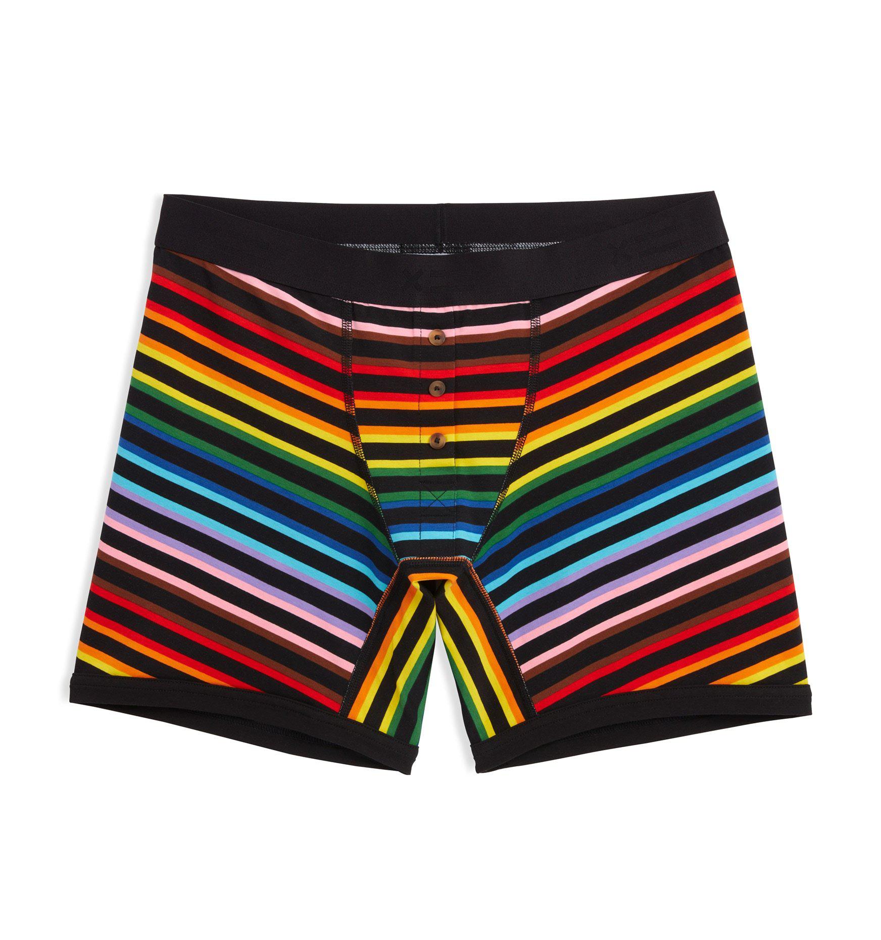 6" Fly Boxer Briefs - Progress Pride Stripes-Underwear-TomboyX