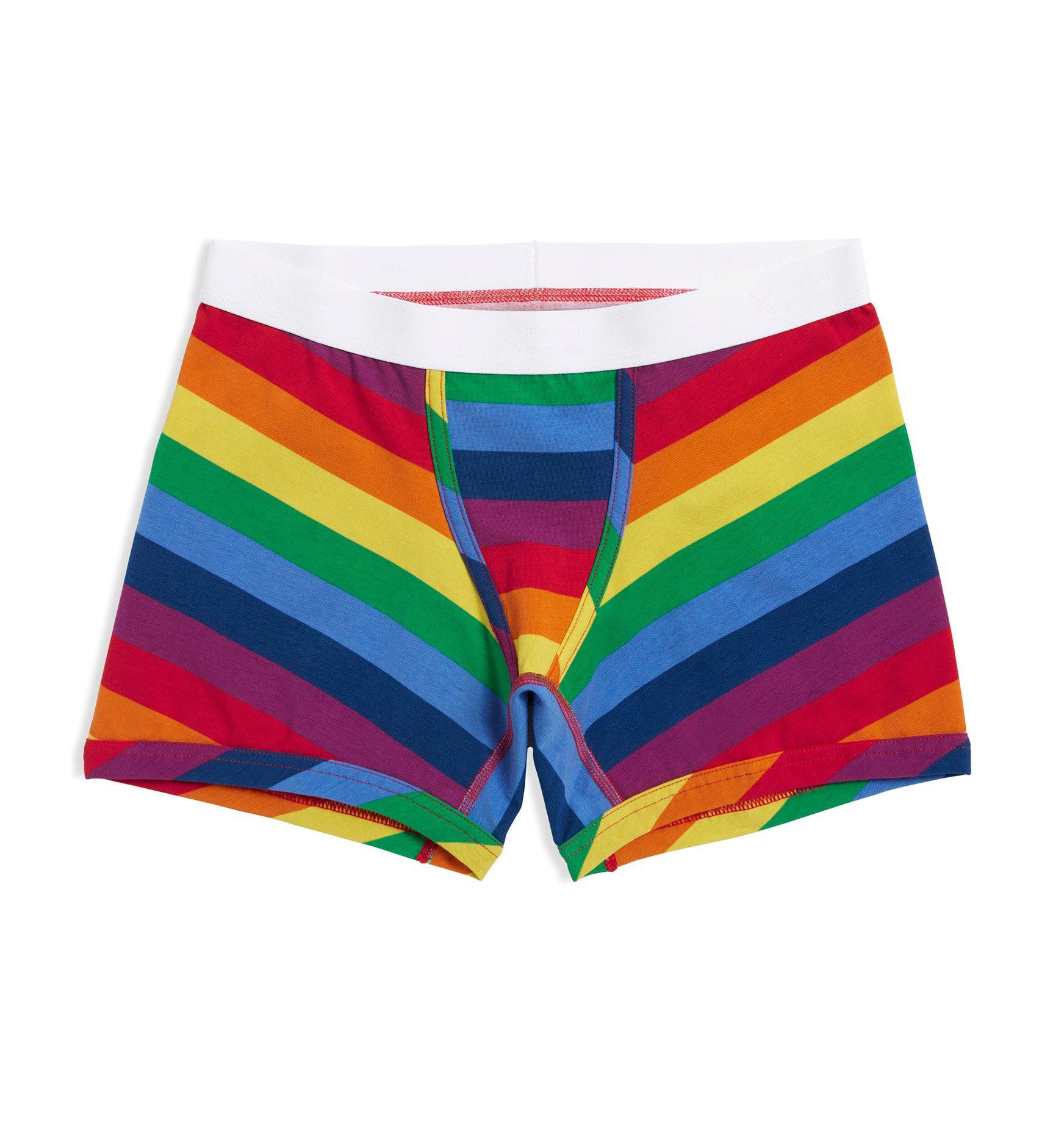 4.5" Trunks - Rainbow Pride Stripes-Underwear-TomboyX